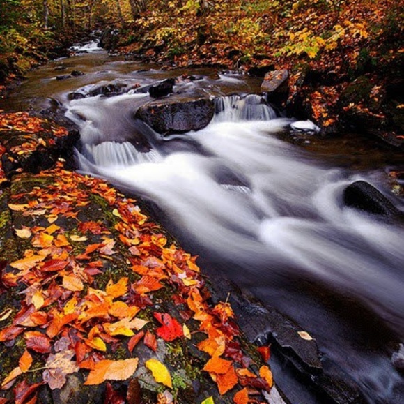 Cardigan - Halloween - Picture 4 of 7